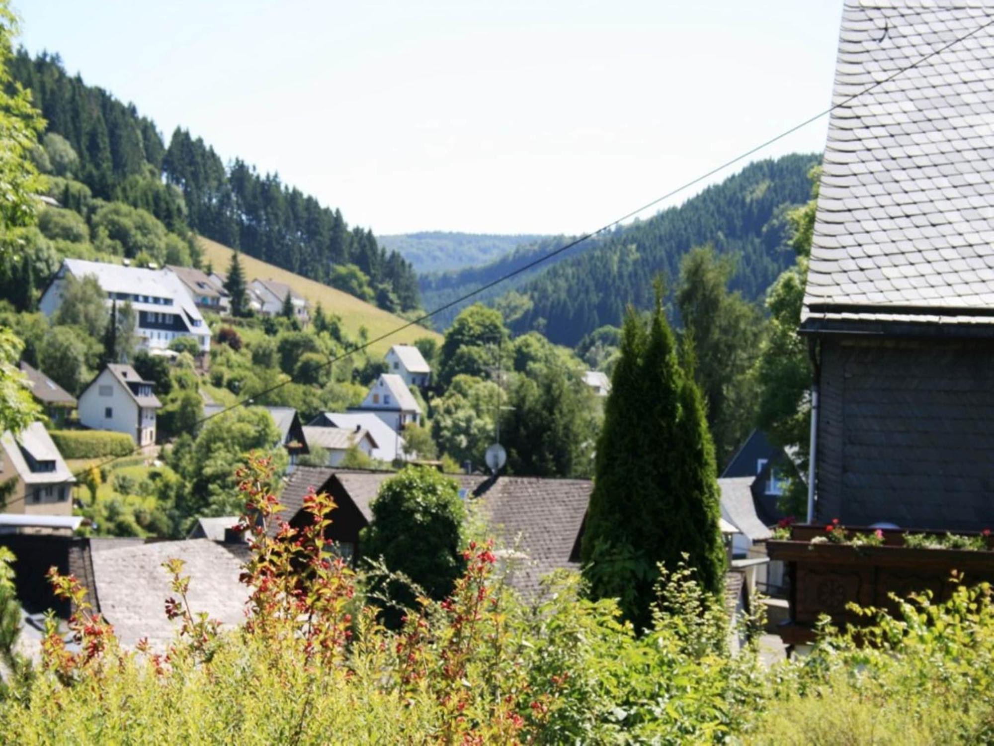 Cosy Apartment In Schwalefeld Near Willingen With Private Terrace Exterior photo