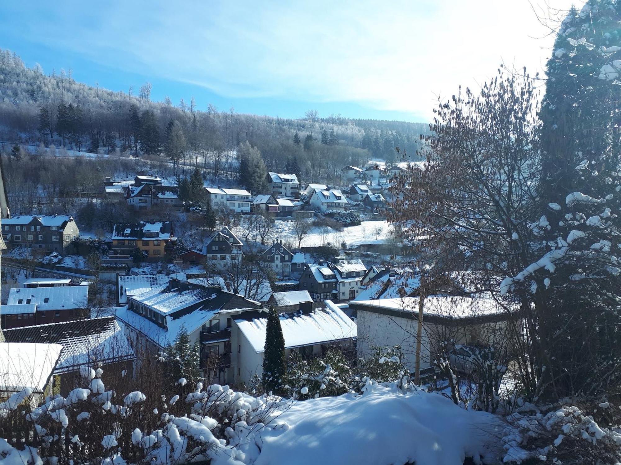 Cosy Apartment In Schwalefeld Near Willingen With Private Terrace Exterior photo